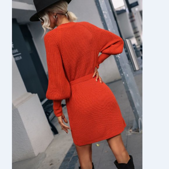 Rib-Knit Lantern Sleeve Belted Sweater Dress - Picture 8 of 16